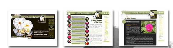 idesigner website design header